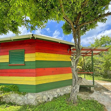Judy House 2 - Lewis Backpacker Hostel Little Bay 客房 照片