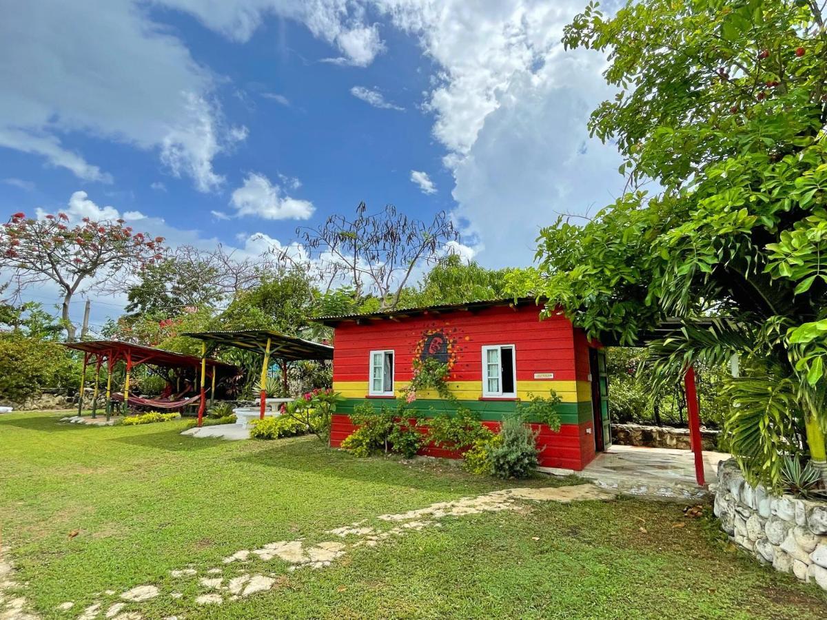 Judy House 2 - Lewis Backpacker Hostel Little Bay 外观 照片